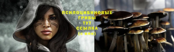 jwh Пестово